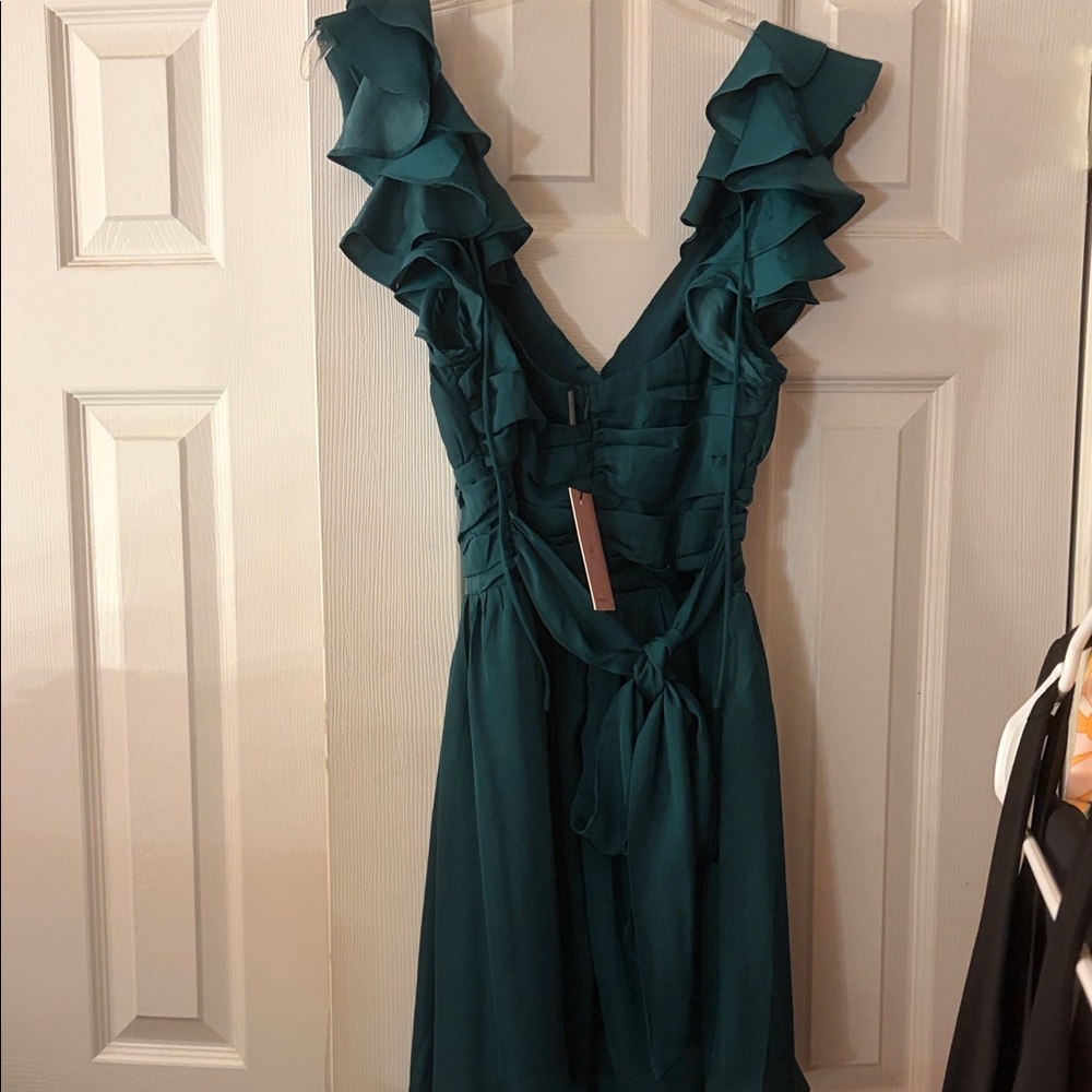 NWT Hello Molly Hunter Ruffle Dress - Picture 6 of 7